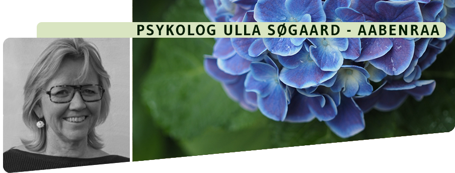 headerImage_05_lilla_blomst