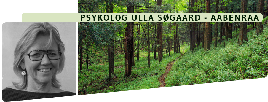 psykolog-aabenraa-ulla-soegaard-headerImage-skovsti